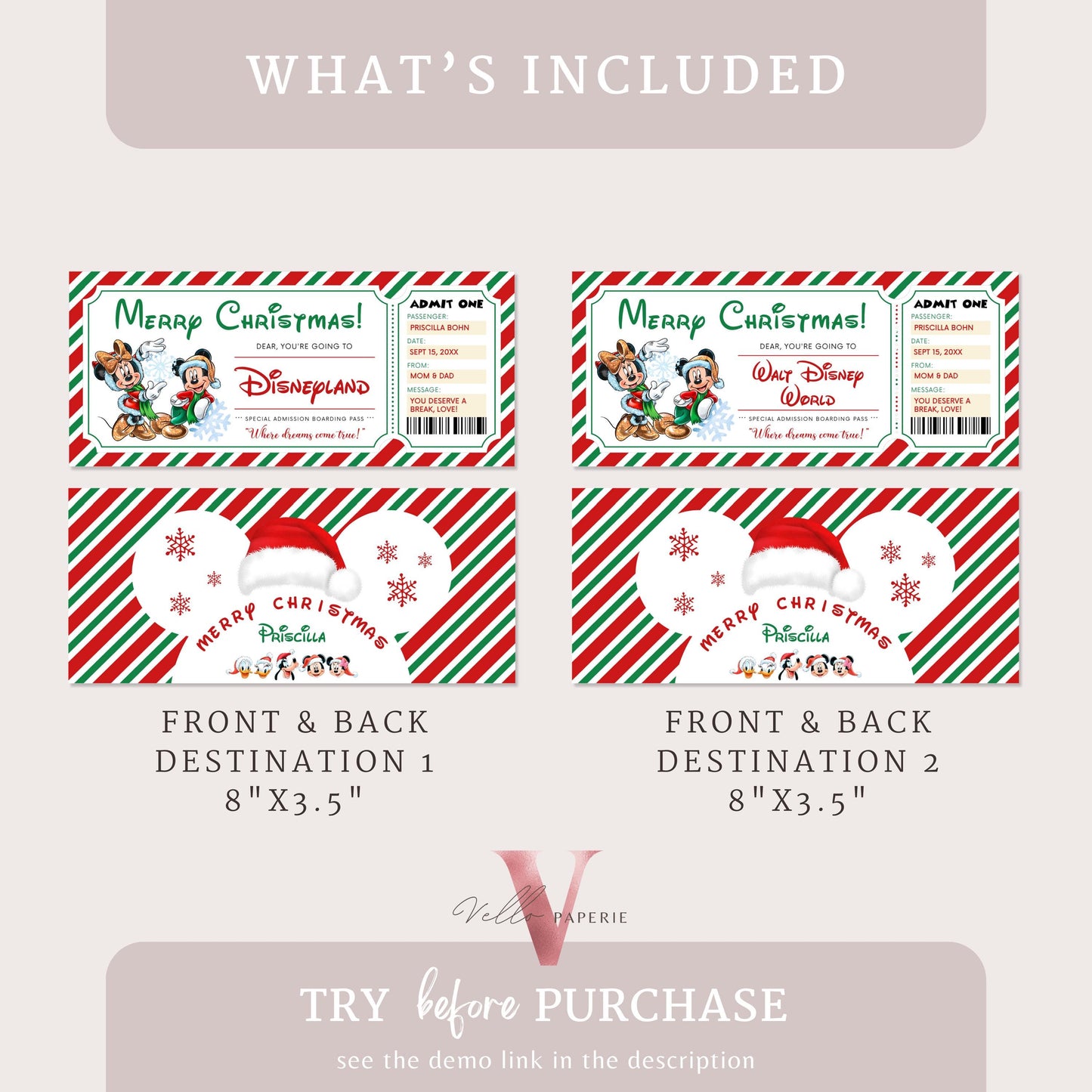 Christmas Disneyland / Disneyworld  Ticket | Editable Printable Theme Park Surprise Reveal Ticket | Disney Trip Ticket, Christmas Gift DST12